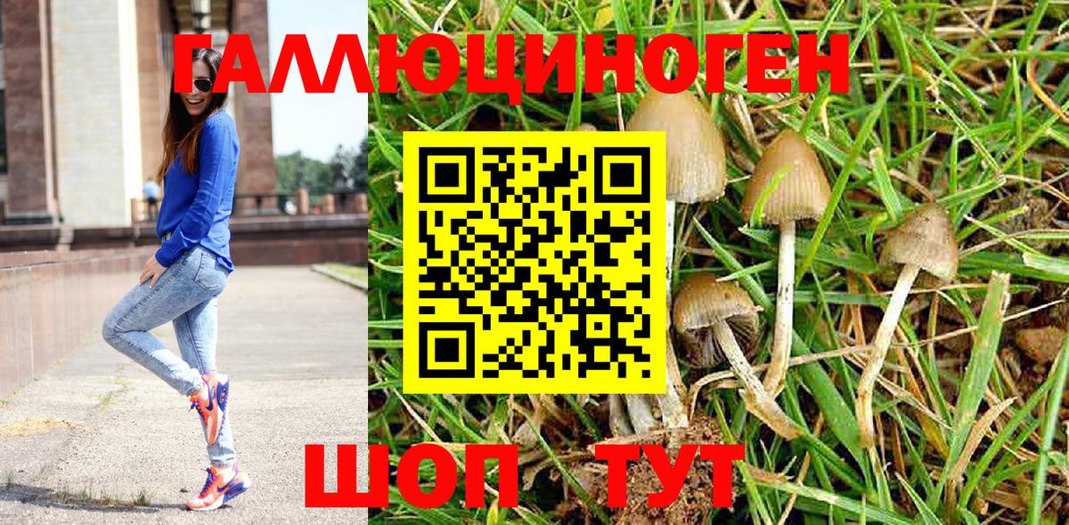 Псилоцибиновые грибы Psilocybine cubensis  Вход с VPN  Киселёвск 